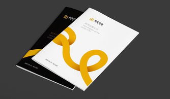 VI設(shè)計流程與項(xiàng)目策劃及公關(guān)服務(wù)的融合