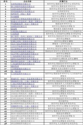 2009年中國(guó)軟件服務(wù)外包企業(yè)競(jìng)爭(zhēng)力排名與分析